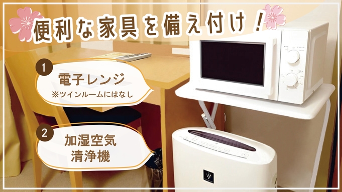 【スタンダード】シンプル素泊りプラン【部屋に電子レンジ】